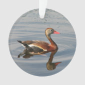 Zwartbuikspiering Ornament (voorkant)