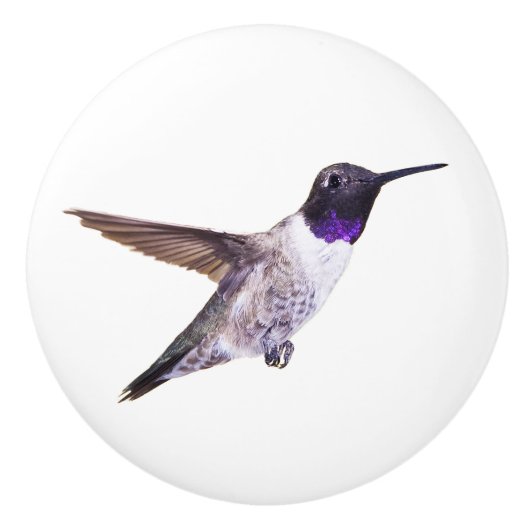 Zwartchinese Hummingbird knob Keramische Knop (Voorkant)