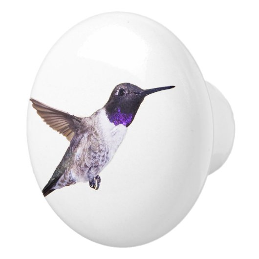 Zwartchinese Hummingbird knob Keramische Knop (Rechts)