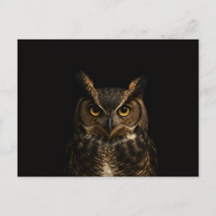 Zwarte 4 Luxe ansichtkaart met Gouden Oog Uil Briefkaart