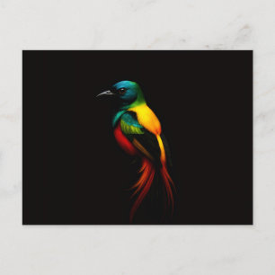 Zwarte 4 Luxe ansichtkaart met Tropische Regenboog Briefkaart