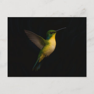 Zwarte 4 Luxe ansichtkaart met vliegende vogel Briefkaart