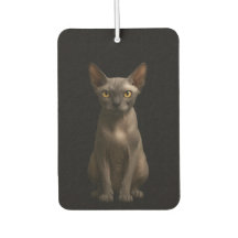 Zwarte 4 Luxe auto-airconditioners, Sphynx-kat