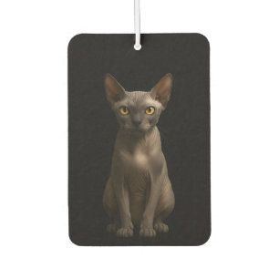 Zwarte 4 Luxe auto-airconditioners, Sphynx-kat Luchtverfrisser