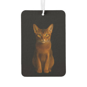 Zwarte 4 Luxe auto-airfresheners, Abyssiniaanse sc Luchtverfrisser