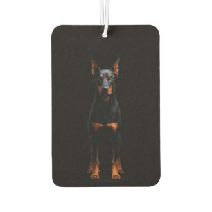 Zwarte 4 Luxe auto-airfresheners, Dobermann bewake Luchtverfrisser