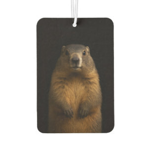 Zwarte 4 Luxe auto-airfresheners, Fluffy Marmot Luchtverfrisser