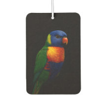 Zwarte 4 Luxe auto-airfresheners, Lorikeet papegaa