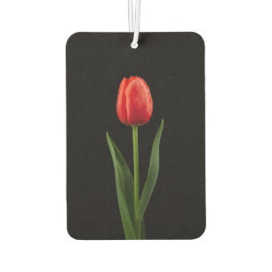 Zwarte 4 Luxe Auto Geurverfrissers Ruby Rode Tulp Luchtverfrisser