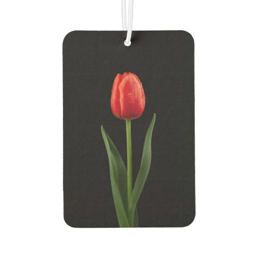Zwarte 4 Luxe Auto Geurverfrissers Ruby Rode Tulp Luchtverfrisser (Achterkant)