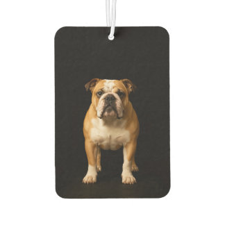 Zwarte 4 Luxe Auto Geurverfrissers Stamina Bulldog Luchtverfrisser