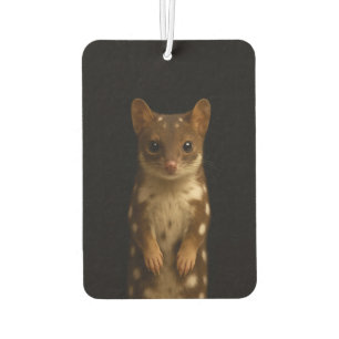 Zwarte 4 Luxe Auto Geurverfrissers Sweet Quoll Luchtverfrisser