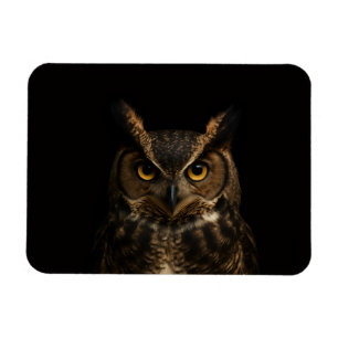 Zwarte 4 Luxe Flexibele magneet, Gouden Oog Uil Magneet