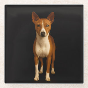 Zwarte 4 Luxe Glas onderzetter, Klasse Basenji Hon Glazen Onderzetter