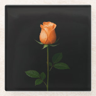 Zwarte 4 Luxe Glas onderzetter, Sunset Orange Rose Glazen Onderzetter