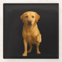 Zwarte 4 Luxe Glas onderzetter, Teder Labrador