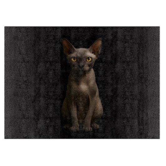 Zwarte 4 Luxe Glasplaat Sphynx Kat Snijplank (Voorkant)