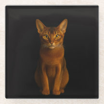 Zwarte 4 Luxe glazen onderzetter, Abyssinian Beaut