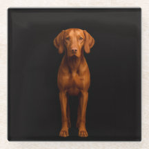 Zwarte 4 Luxe glazen onderzetter, Agile Vizsla-hon