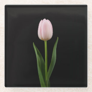 Zwarte 4 Luxe glazen onderzetter, Blush Roze Tulp Onderzetter