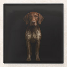 Zwarte 4 Luxe glazen onderzetter, Duitse Pointer