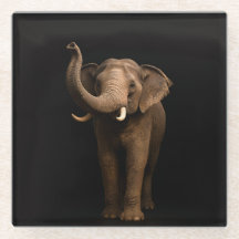 Zwarte 4 Luxe glazen onderzetter, Machtige Olifant