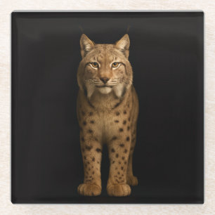 Zwarte 4 Luxe glazen onderzetter, Stille Lynx Onderzetter