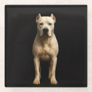 Zwarte 4 Luxe glazen onderzetter, Stout Dogo Argen Onderzetter