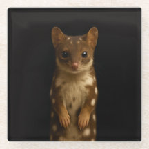 Zwarte 4 Luxe glazen onderzetter, Sweet Quoll
