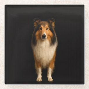Zwarte 4 Luxe glazen onderzetter, trouwe Collie-ho Onderzetter