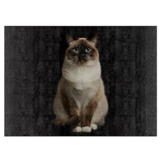Zwarte 4 Luxe glazen snijplank Birmese Kat (Voorkant)