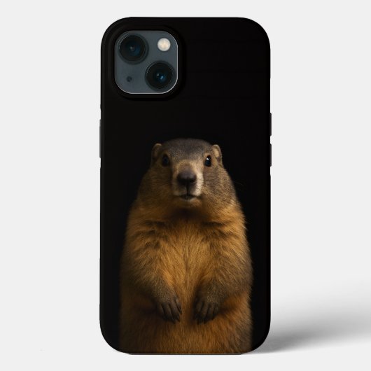 Zwarte 4 Luxe iPhone 13, Fluffy Marmot Case-Mate iPhone Case (Achterkant)