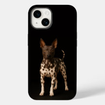 Zwarte 4 Luxe iPhone 14 Mate, Haarlose Terrier