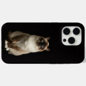 Zwarte 4 Luxe iPhone 15 Pro Max, Birmese Kat Case-Mate iPhone Case (Achterkant (horizontaal))