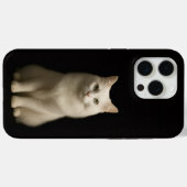 Zwarte 4 Luxe iPhone 15 Pro Max, Turkse Angorakat Case-Mate iPhone Case (Achterkant (horizontaal))