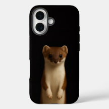 Zwarte 4 Luxe iPhone 16 Mate, Elegante Wezel