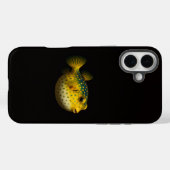 Zwarte 4 Luxe iPhone 16 Plus, Gele Kogelvis Case-Mate iPhone Case (Achterkant (horizontaal))