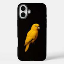 Zwarte 4 Luxe iPhone 16 Plus, Gouden Parkiet