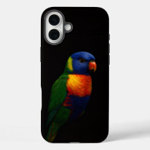 Zwarte 4 Luxe iPhone 16 Plus, Lorikeet Papegaai
