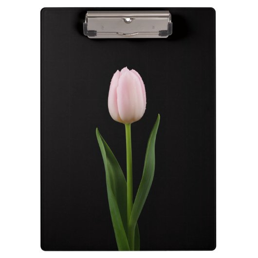 Zwarte 4 Luxe Klembord, Blush Roze Tulp Klembord (Voorkant)