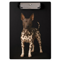 Zwarte 4 Luxe Klembord, Haarlose Terrier Hond