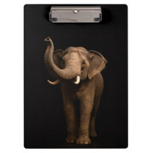 Zwarte 4 Luxe Klembord, Krachtige Olifant