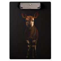 Zwarte 4 Luxe Klembord, Okapi in het bos