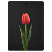 Zwarte 4 Luxe Klembord, Robijnrode Tulp Klembord (Achterkant)