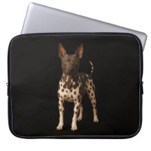 Zwarte 4 Luxe laptophoes, haarloze terriër hond