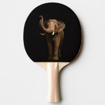 Zwarte 4 Luxe pingpongbat, Machtige Olifant