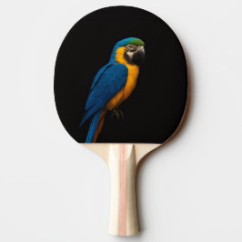 Zwarte 4 Luxe pingpongbat met Blauwe Gele Ara Tafeltennisbatje