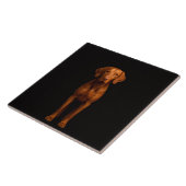 Zwarte 4 Luxe Tegel met Agile Vizsla Hond Tegeltje (Zijkant)
