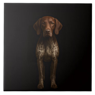 Zwarte 4 Luxe tegel met Duitse Pointer hond Tegeltje