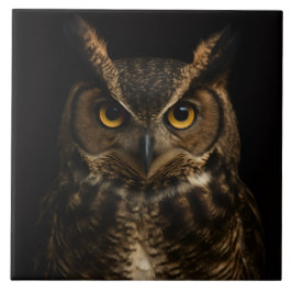 Zwarte 4 Luxe Tegel met Golden Eye Owl Tegeltje